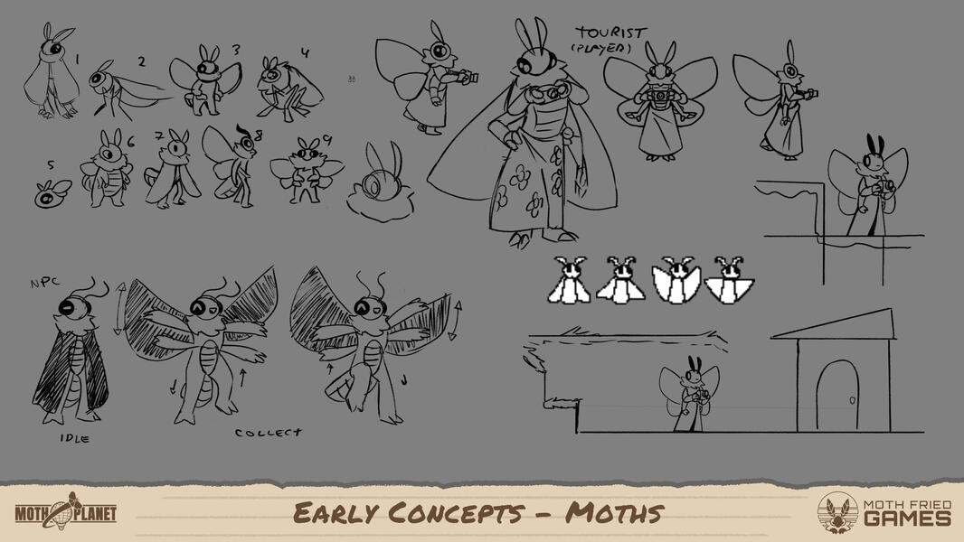Early Concepts - Moths